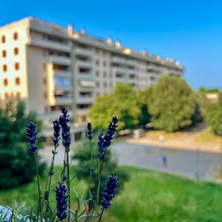 Catanelli 42 פרוג'ה
